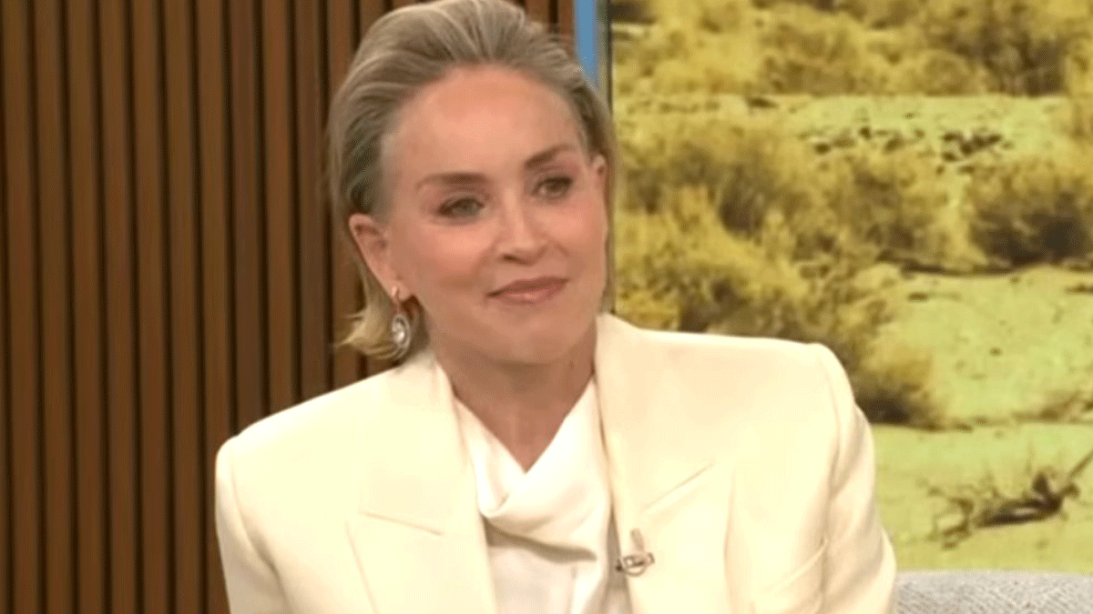 Σάρον Στόουν: Οι ερωτικές σκηνές και το τίμημα στην προσωπική της ζωή