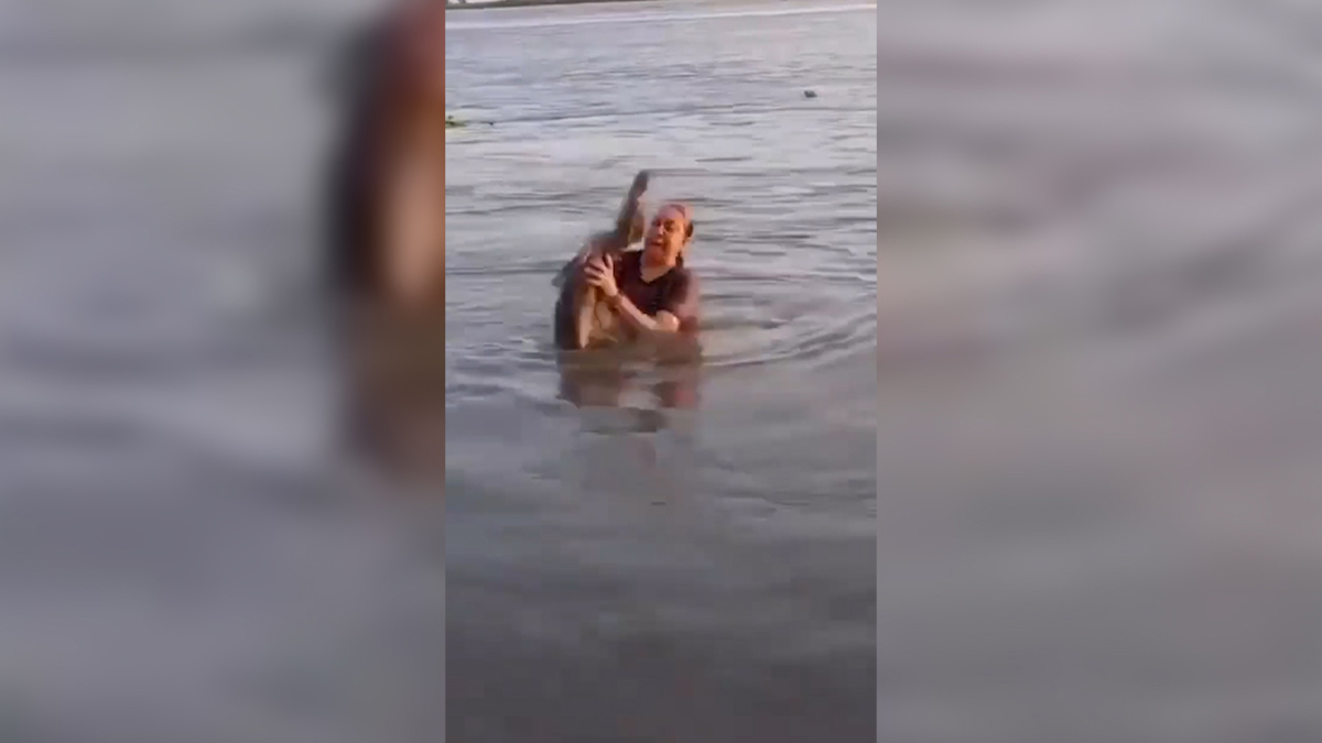 Η τρομακτική στιγμή με κολυμβήτρια να συνειδητοποιεί ότι σήκωσε κατά λάθος… αλιγάτορα