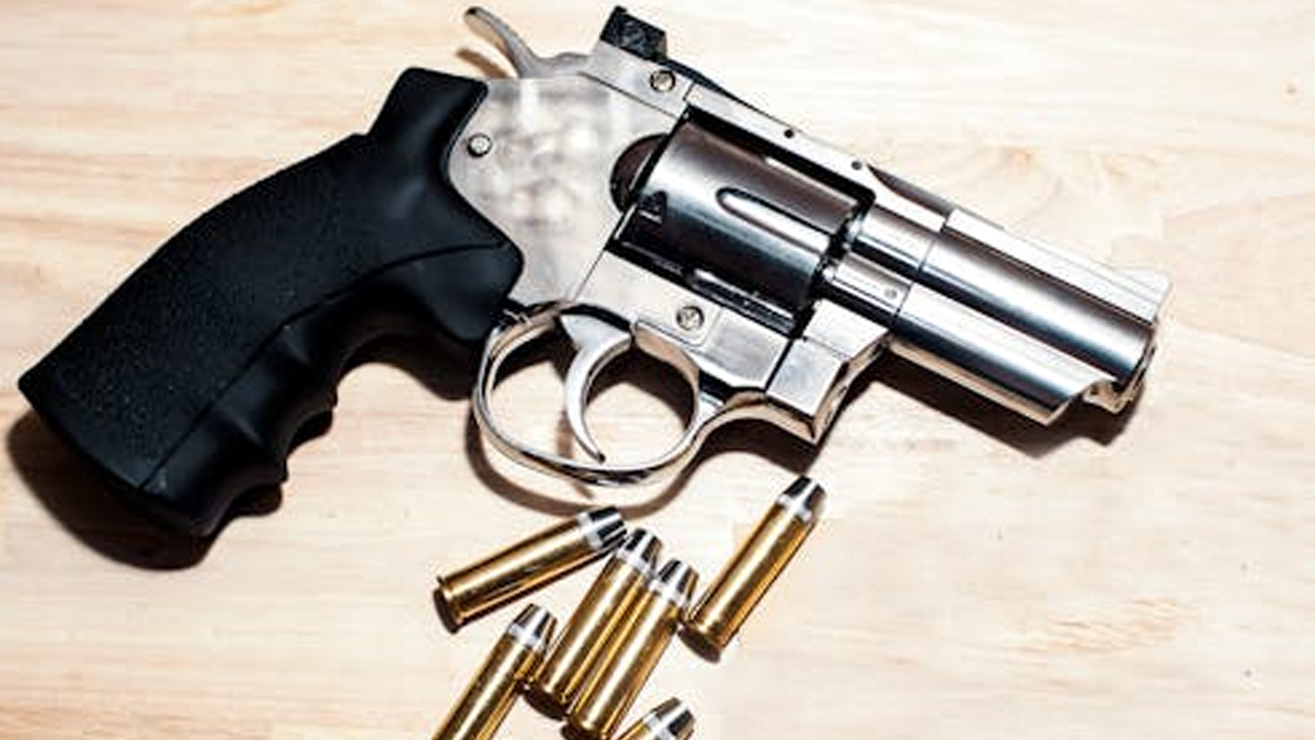 Αμερικανοί κυρίως αριστερών πεποιθήσεων αγοράζουν όπλα