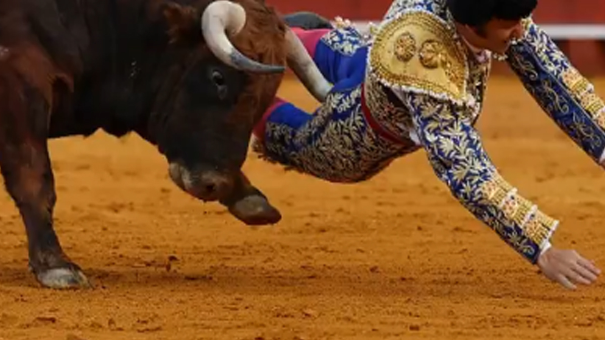 Σεβίλλη: Ταυρομάχος τραυματίστηκε σοβαρά όταν το ζώο τον κάρφωσε και τον ποδοπάτησε