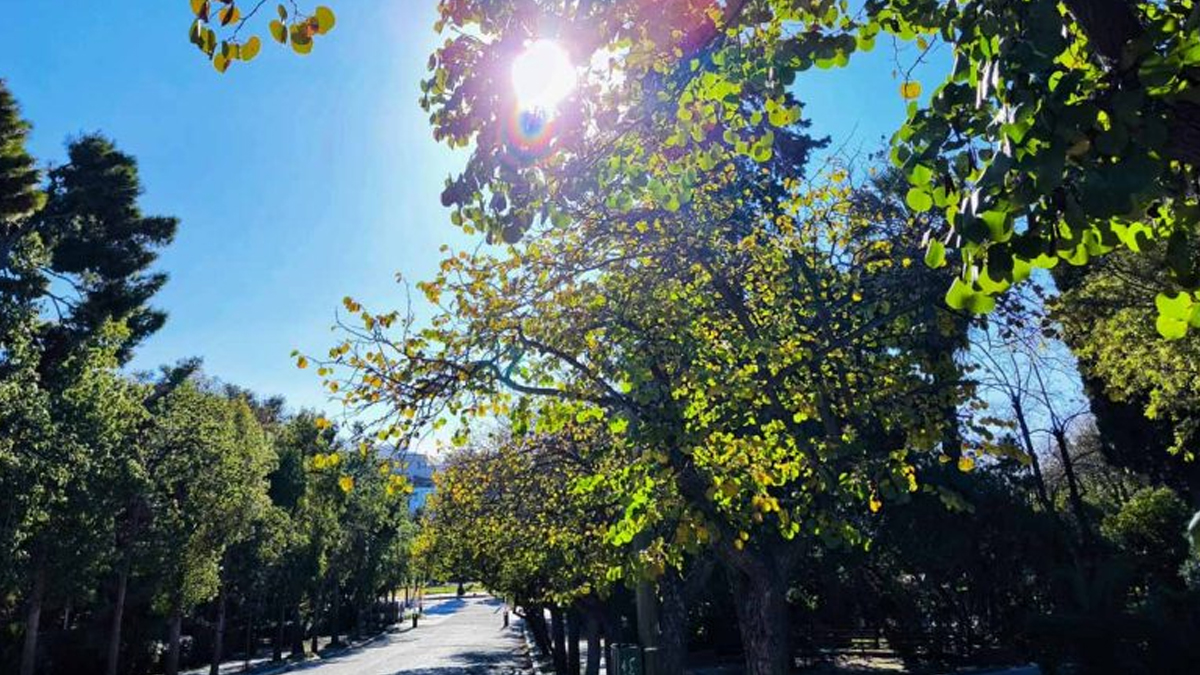 Ήπιος καιρός με τοπικές καταιγίδες στα νησιά