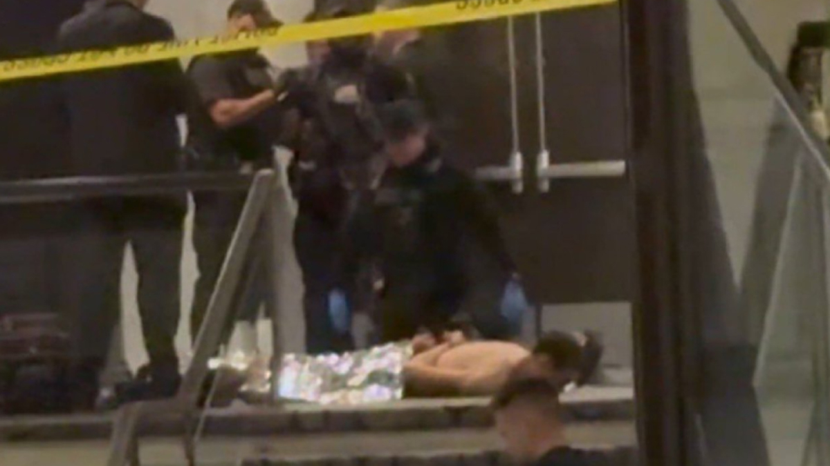 Βίντεο από τη σύλληψη του φερόμενου ως δράστη στην Ουάσιννγκτον