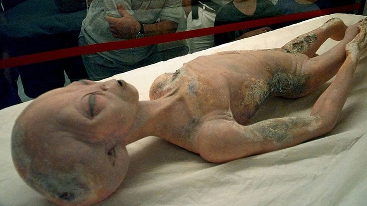 Ισχυρισμοί για UFO: «Οι ΗΠΑ έχουν σώματα από 4 είδη εξωγήινων»