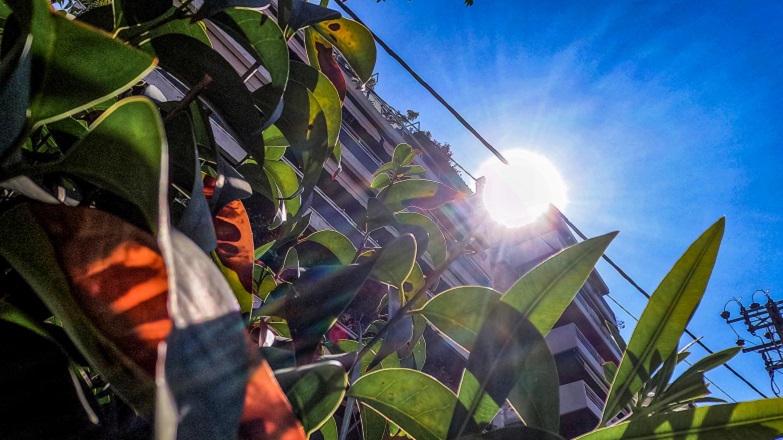 Καλοκαιρινός καιρός με 30 βαθμούς θερμοκρασία
