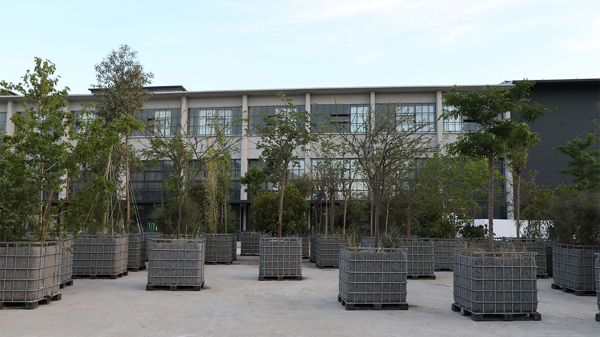 «Αttracted to trees»: Μια βραδιά νέων περφόρμανς στην Πειραιώς 260