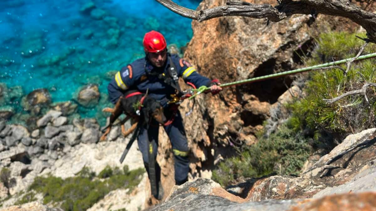 Ζάκυνθος: Σκύλος έπεσε από γκρεμό – Τον έσωσε η Πυροσβεστική