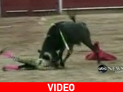 Τραυματίστηκε 12χρονος ταυρομάχος